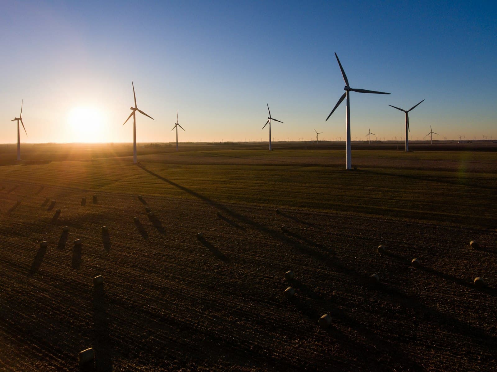 Environmental Sciences & Sustainability